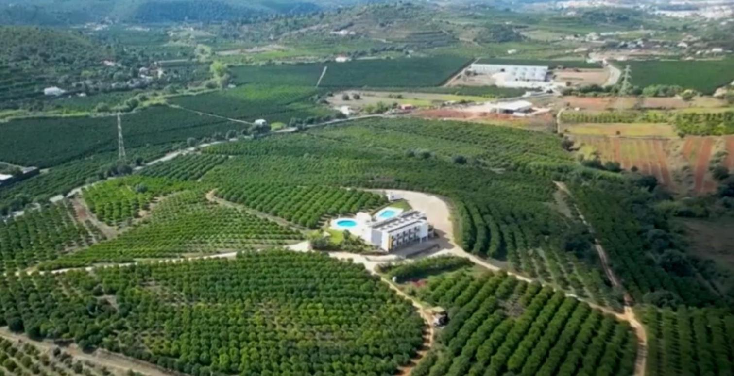 Orange Grove Residence Silves Exterior foto
